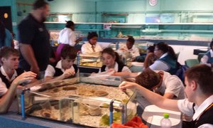 Kanadese studente besoek Gansbaai Academia